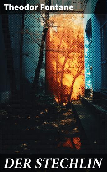 DER STECHLIN - Gesellschaftsroman der Jahrhundertwende - cover