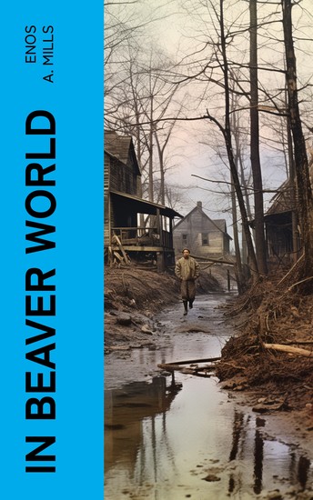 In Beaver World - cover
