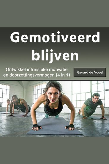 Gemotiveerd blijven - Ontwikkel intrinsieke motivatieen doorzettingsvermogen (4 in 1) - cover