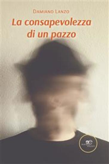 La consapevolezza di un pazzo - cover