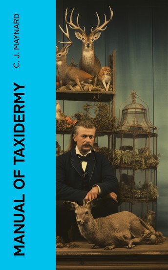 Manual of Taxidermy - A Complete Guide in Collecting and Preserving Birds and Mammals - cover