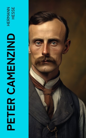 Peter Camenzind - cover