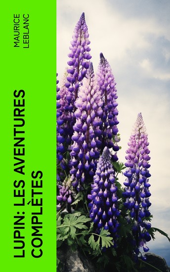 LUPIN: Les aventures complètes - cover