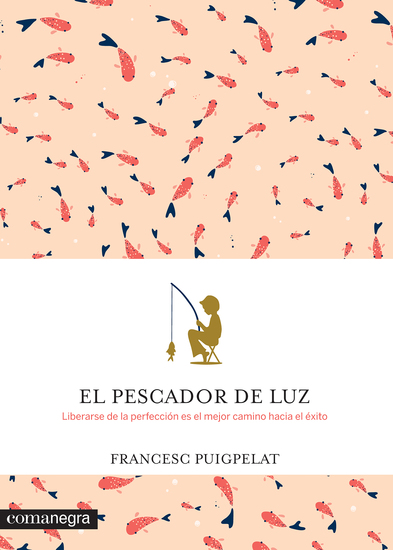 El pescador de luz - Liberarse de la perfección es el mejor camino hacia el éxito - cover