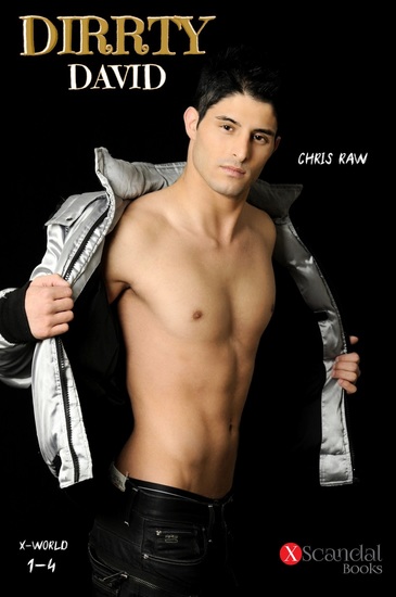 Dirrty David - Die Abenteuer mit David - cover