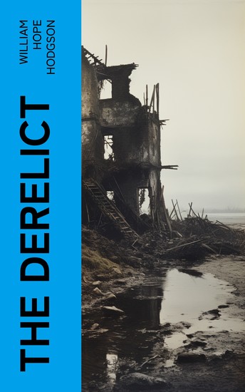 The Derelict - cover