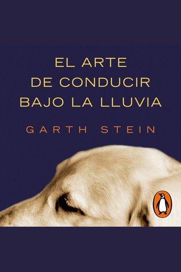 El arte de conducir bajo la lluvia - cover