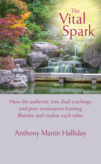 The Vital Spark - How the authentic non-dual teachings and post-renaissance learning illumine and vitalise each other - cover
