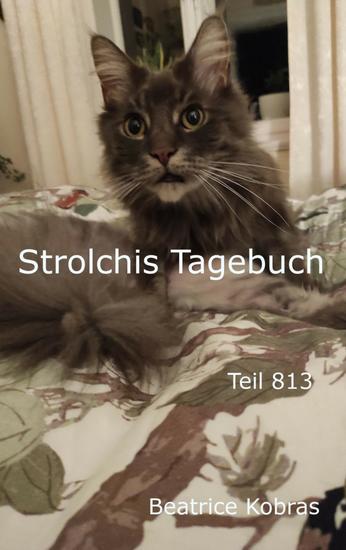 Strolchis Tagebuch - Teil 813 - cover