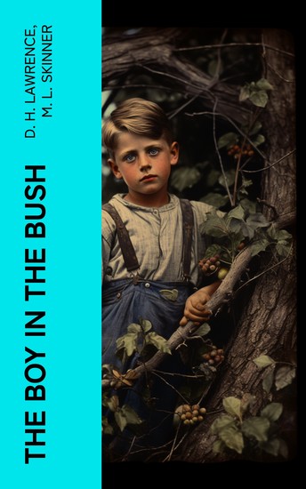 The Boy in the Bush - cover