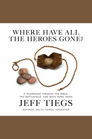 Where Have All the Heroes Gone? - A Pilgrimage Through the Bible the Battlefield and Back Home Again - cover