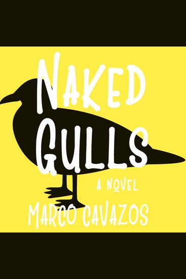 Naked Gulls - cover