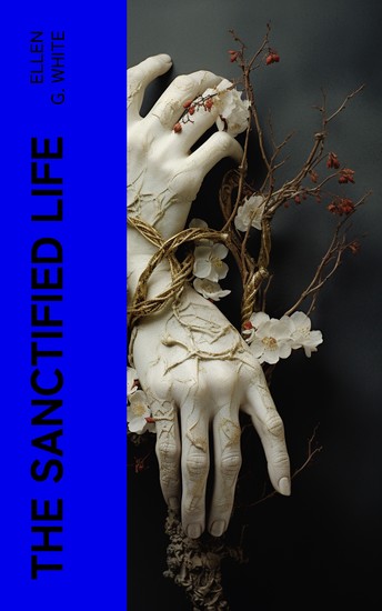 The Sanctified Life - cover