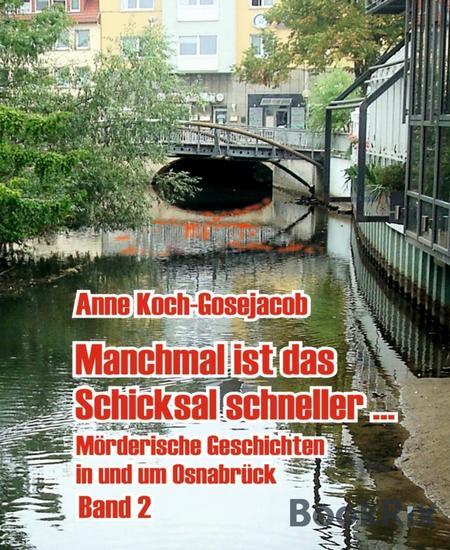 Manchmal ist das Schicksal gnädig - Mörderische Geschichten in und um Osnabrück - cover
