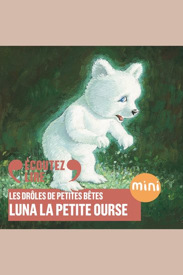 Luna la petite ourse - Les Drôles de Petites Bêtes - cover