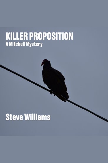 Killer Proposition - A Mitchell Mystery - cover