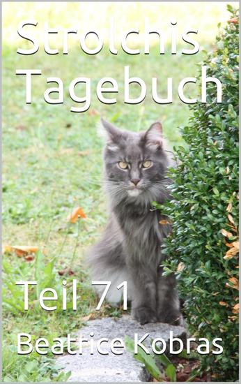 Strolchis Tagebuch - Teil 71 - cover