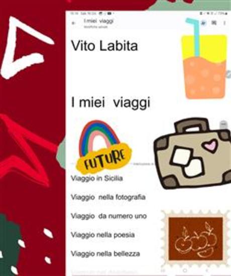 I miei viaggi - cover