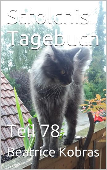Strolchis Tagebuch - Teil 78 - cover