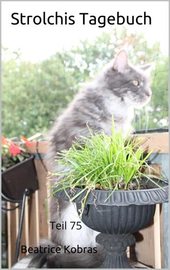 Strolchis Tagebuch - Teil 75 - cover