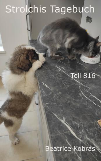 Strolchis Tagebuch - Teil 816 - cover