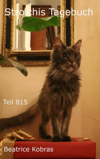 Strolchis Tagebuch - Teil 815 - cover