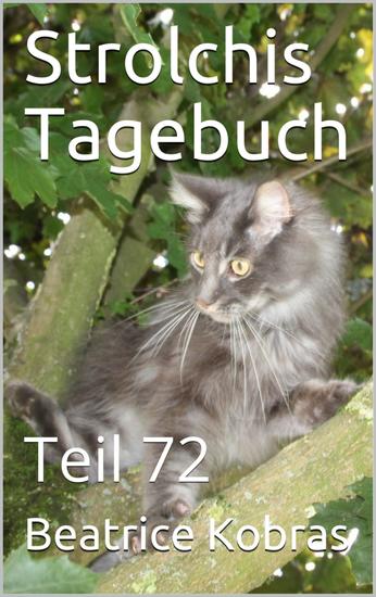 Strolchis Tagebuch - Teil 72 - cover