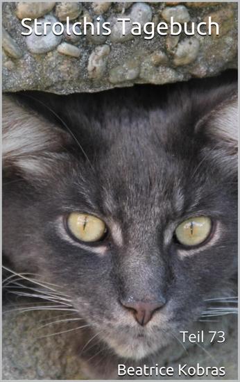 Strolchis Tagebuch - Teil 73 - cover