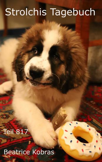 Strolchis Tagebuch - Teil 817 - cover