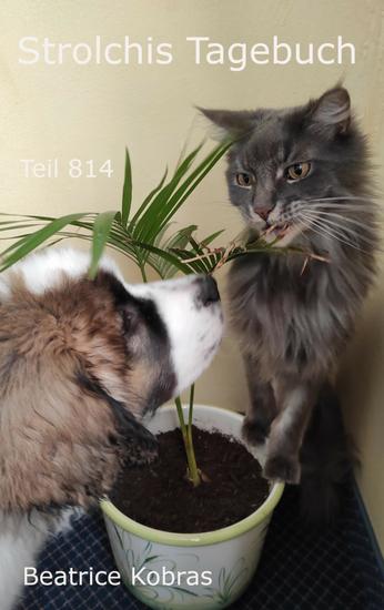 Strolchis Tagebuch - Teil 814 - cover