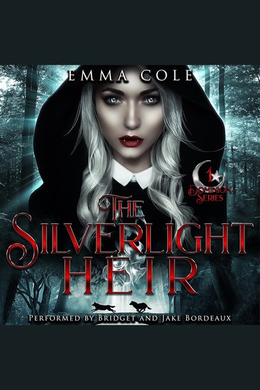 The Silverlight Heir - cover