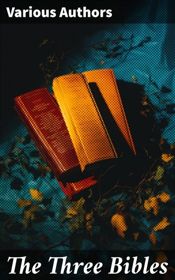 The Three Bibles - Enriched edition KJV DRV & WEB - King James Version Douay-Rheims Version and World English Bible - cover