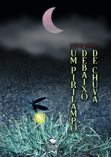 Um pirilampo debaixo de chuva - cover