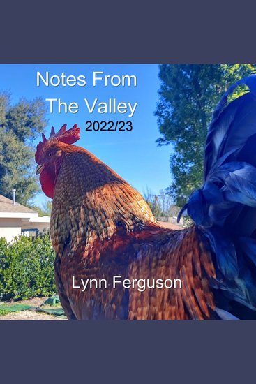 Notes From The Valley - 2022 23 - cover