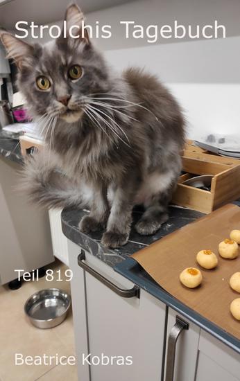 Strolchis Tagebuch - Teil 819 - cover