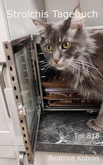 Strolchis Tagebuch - Teil 818 - cover