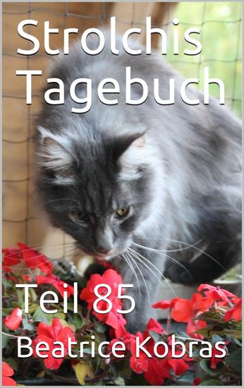 Strolchis Tagebuch - Teil 85 - cover