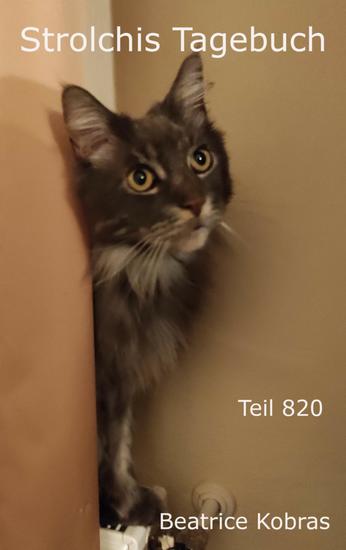 Strolchis Tagebuch - Teil 820 - cover