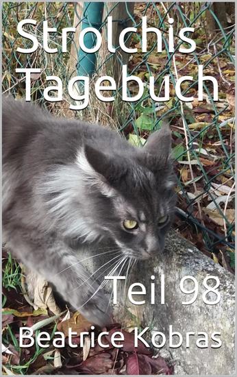 Strolchis Tagebuch - Teil 98 - cover