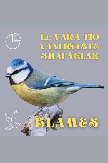 Blåmes - Våra tio vanligaste småfåglar - cover