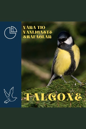 Talgoxe - Våra tio vanligaste småfåglar - cover