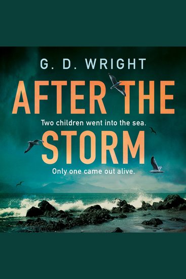 After the Storm: Loved by Claire Douglas Lisa Jewell and Gillian McAllister don’t miss the best debut crime drama novel for winter 2025 perfect for fans of Broadchurch and Happy Valley - cover