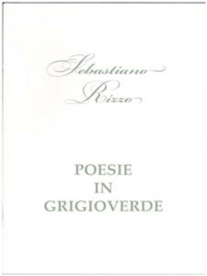 Posie in grigioverde - cover