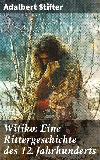 Witiko: Eine Rittergeschichte des 12 Jahrhunderts - Historischer Roman - cover