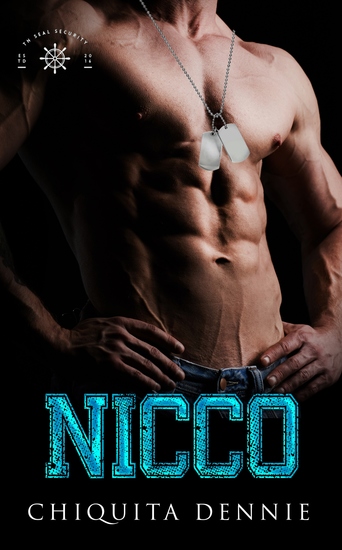 Nicco: A Fake Dating Bodyguard Romance - A Fake Dating Bodyguard Romance - cover