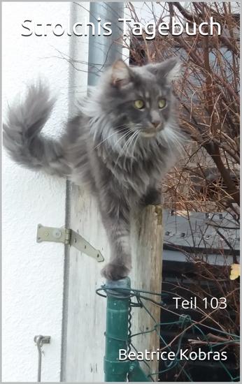 Strolchis Tagebuch - Teil 103 - cover