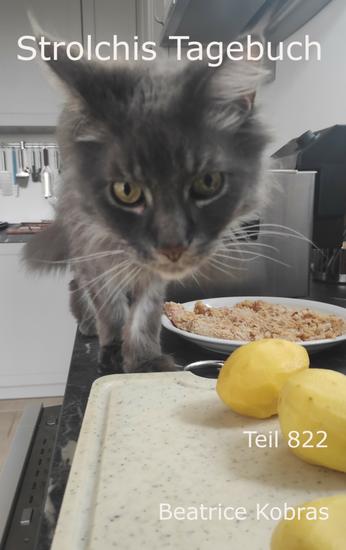 Strolchis Tagebuch - Teil 822 - cover