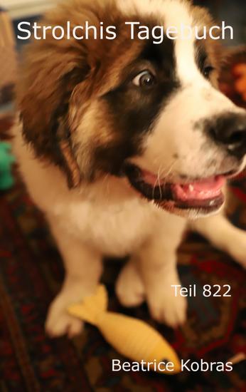 Strolchis Tagebuch - Teil 821 - cover