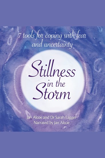 Stillness in the Storm - cover