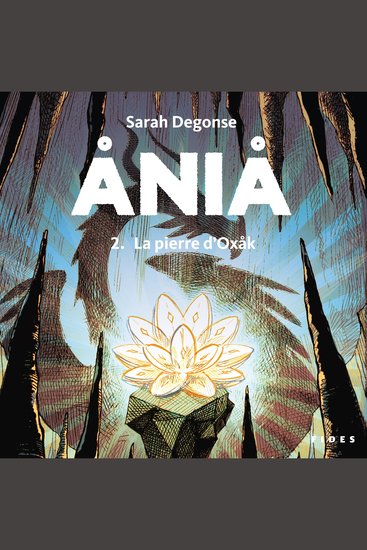 Ania Tome 2: La pierre d'Oxak - cover